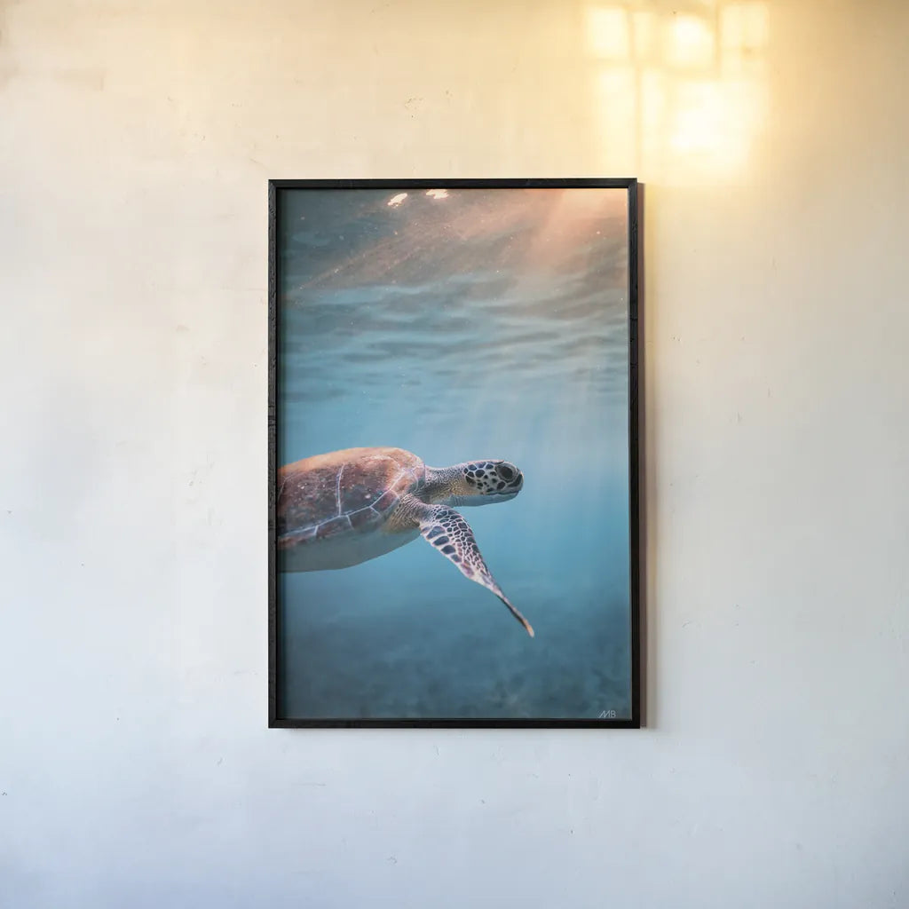 Just Keep Swimming by Max Blakesberg Studios. shown as a paper print in a black flame. Available as a archival giclee rolled canvas, fine art paper, or poster print. SKU 92683h.