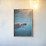 Just Keep Swimming by Max Blakesberg Studios. shown as a paper print in a natural frame. Available as a archival giclee rolled canvas, fine art paper, or poster print. SKU 92683h.