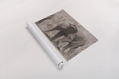 Kenyan Elephant by Max Blakesberg Studios. shown as a rolled paper print. Available as archival giclee rolled canvas, fine art paper, or poster print. SKU 92808i.