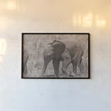 Kenyan Elephant by Max Blakesberg Studios. shown as a paper print in a black flame. Available as a archival giclee rolled canvas, fine art paper, or poster print. SKU 92808i.