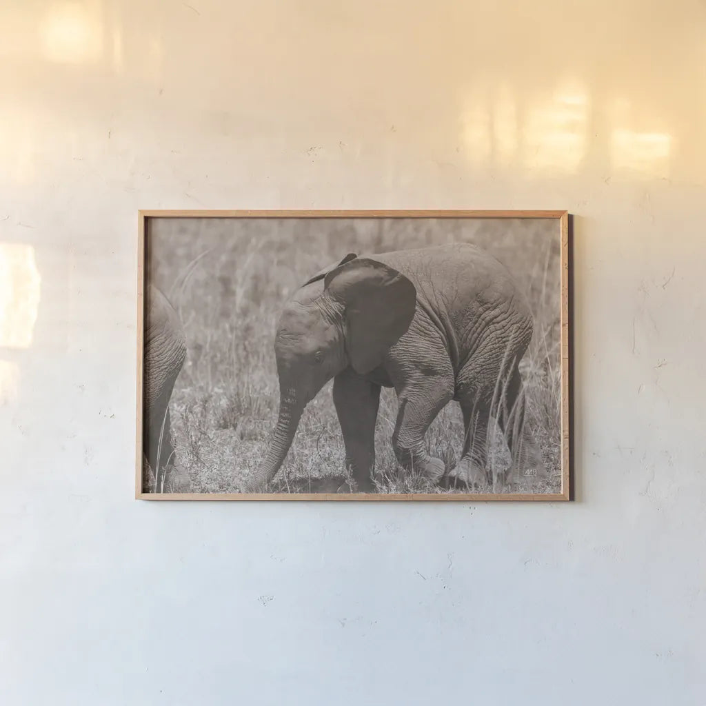 Kenyan Elephant by Max Blakesberg Studios. shown as a paper print in a natural frame. Available as a archival giclee rolled canvas, fine art paper, or poster print. SKU 92808i.
