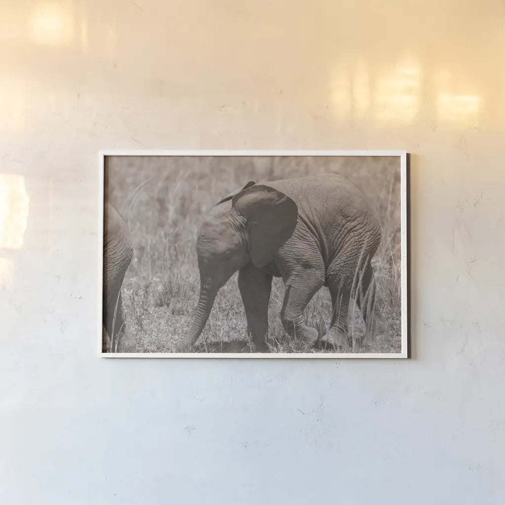 Kenyan Elephant by Max Blakesberg Studios. shown as a paper print in a white frame. Available as a archival giclee rolled canvas, fine art paper, or poster print. SKU 92808i.
