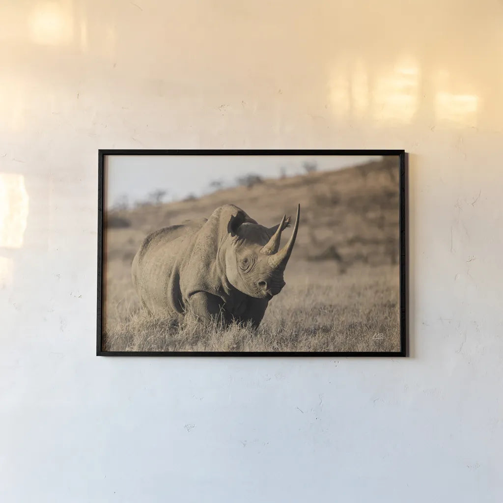 Kenyan Rhino by Max Blakesberg Studios. shown as a paper print in a black flame. Available as a archival giclee rolled canvas, fine art paper, or poster print. SKU 93610i.