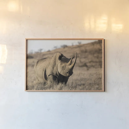 Kenyan Rhino by Max Blakesberg Studios. shown as a paper print in a natural frame. Available as a archival giclee rolled canvas, fine art paper, or poster print. SKU 93610i.