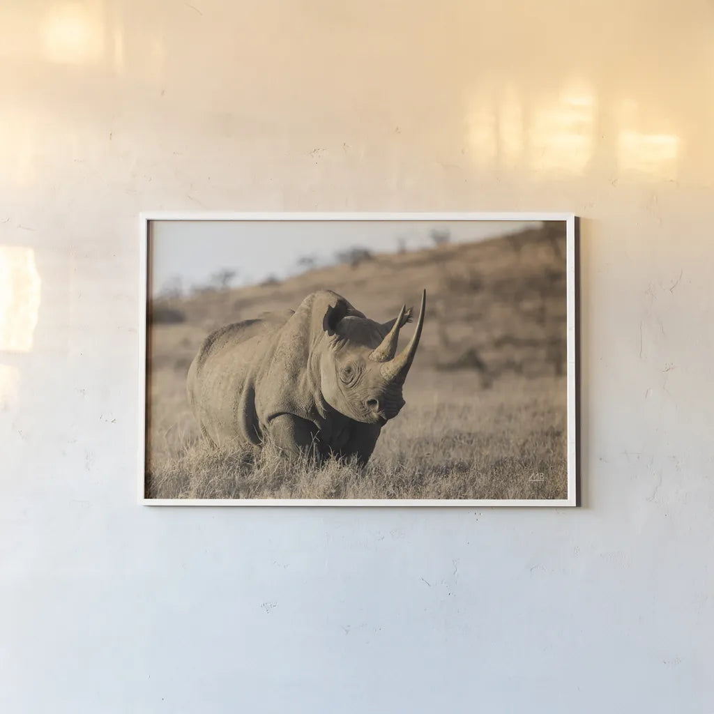 Kenyan Rhino by Max Blakesberg Studios. shown as a paper print in a white frame. Available as a archival giclee rolled canvas, fine art paper, or poster print. SKU 93610i.