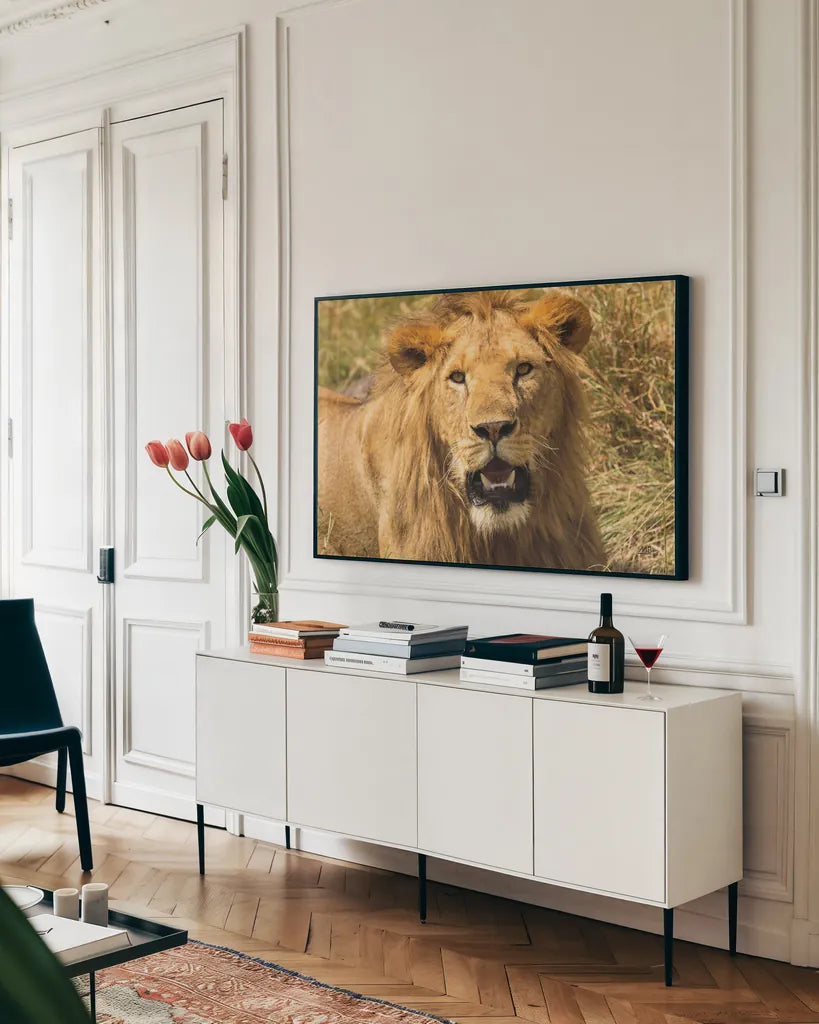 Lion by Max Blakesberg Studios. shown as a framed stretched canvas in a living room above a console. Available as a archival giclee rolled canvas, fine art paper, or poster print. SKU 90833i.