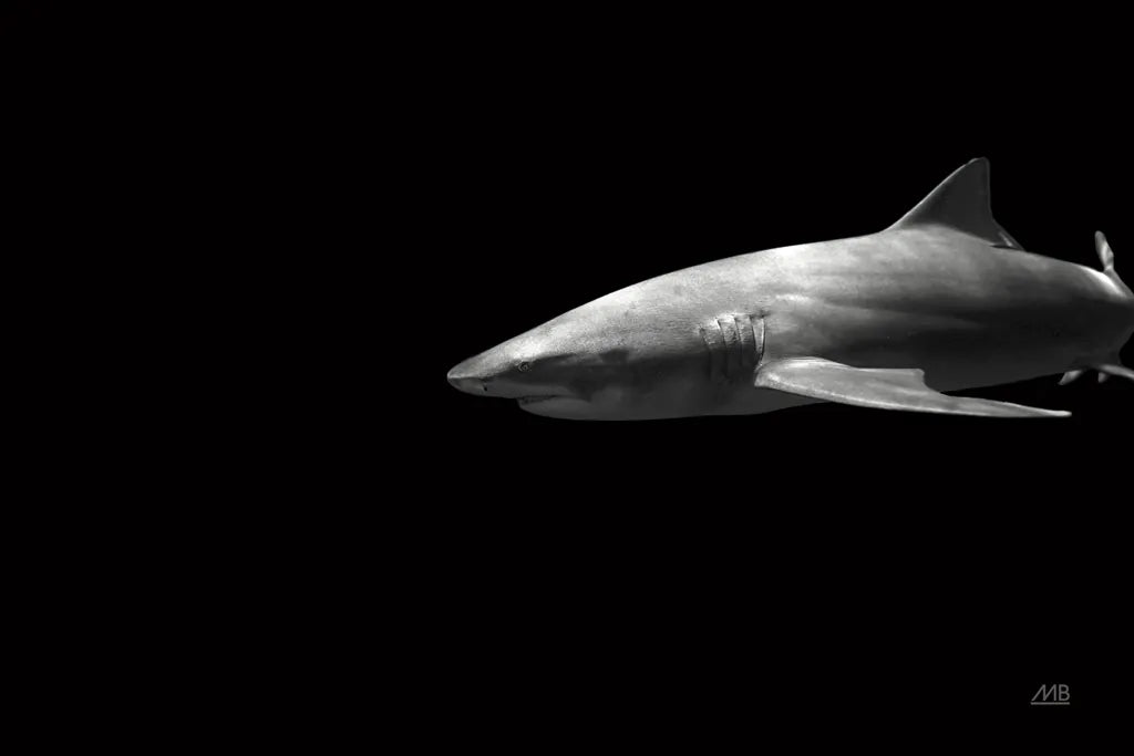 On the Hunt by Max Blakesberg Studios. SKU 90848i. Archival Giclee Fine art print for wall decor.