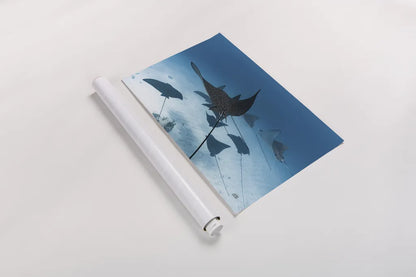 Ray Day II by Max Blakesberg Studios. shown as a rolled paper print. Available as archival giclee rolled canvas, fine art paper, or poster print. SKU 92616i.