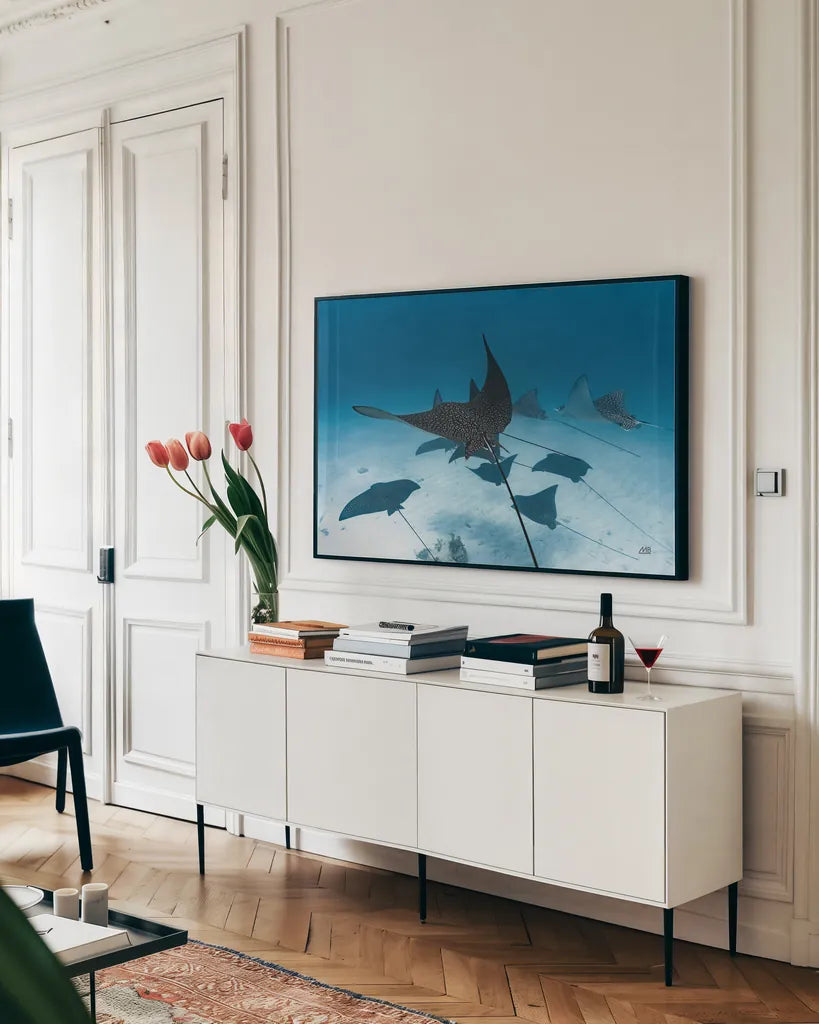 Ray Day II by Max Blakesberg Studios. shown as a framed stretched canvas in a living room above a console. Available as a archival giclee rolled canvas, fine art paper, or poster print. SKU 92616i.