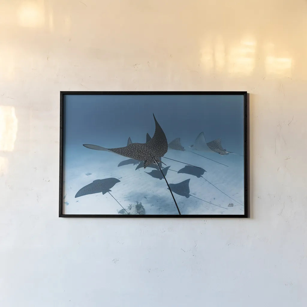 Ray Day II by Max Blakesberg Studios. shown as a paper print in a black flame. Available as a archival giclee rolled canvas, fine art paper, or poster print. SKU 92616i.