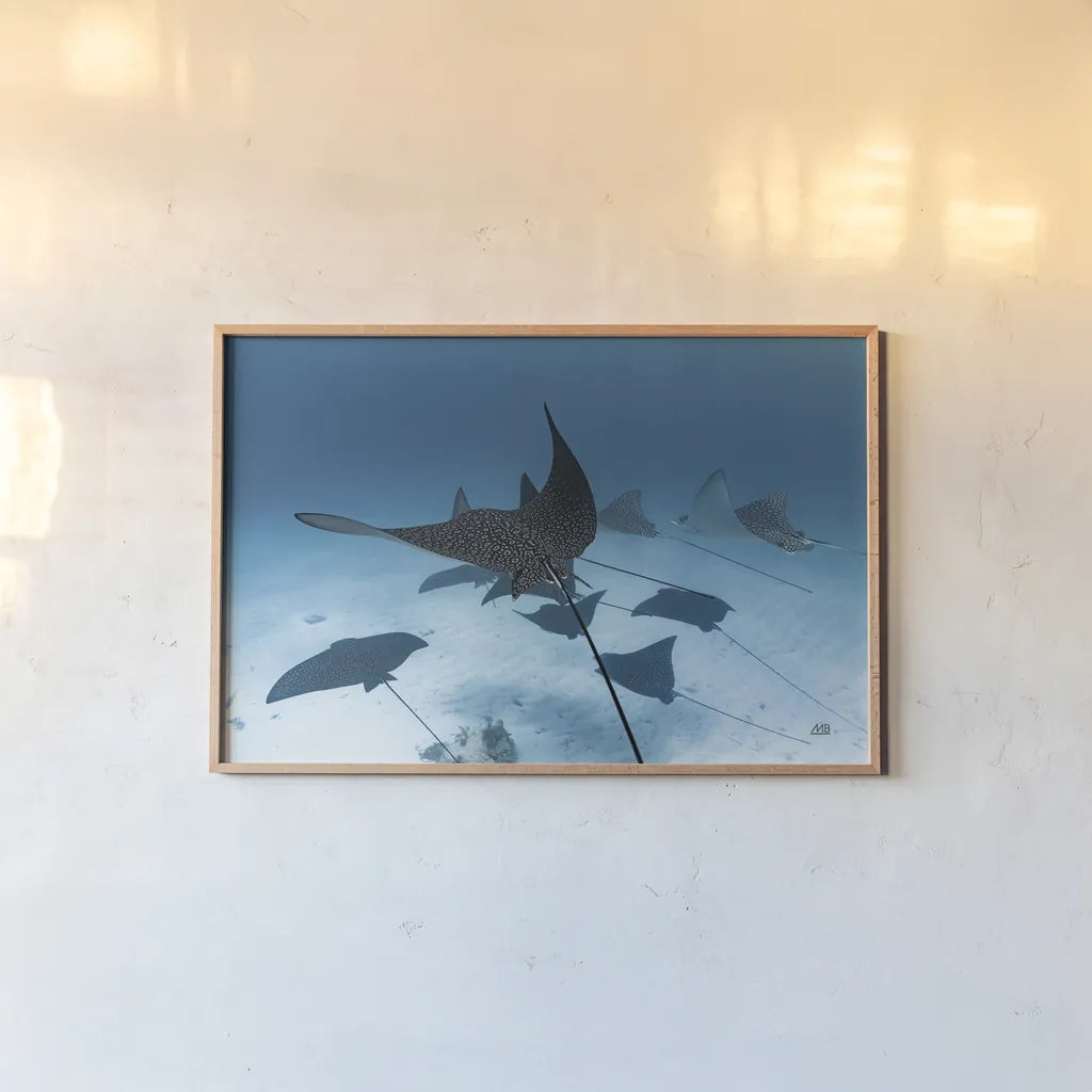 Ray Day II by Max Blakesberg Studios. shown as a paper print in a natural frame. Available as a archival giclee rolled canvas, fine art paper, or poster print. SKU 92616i.