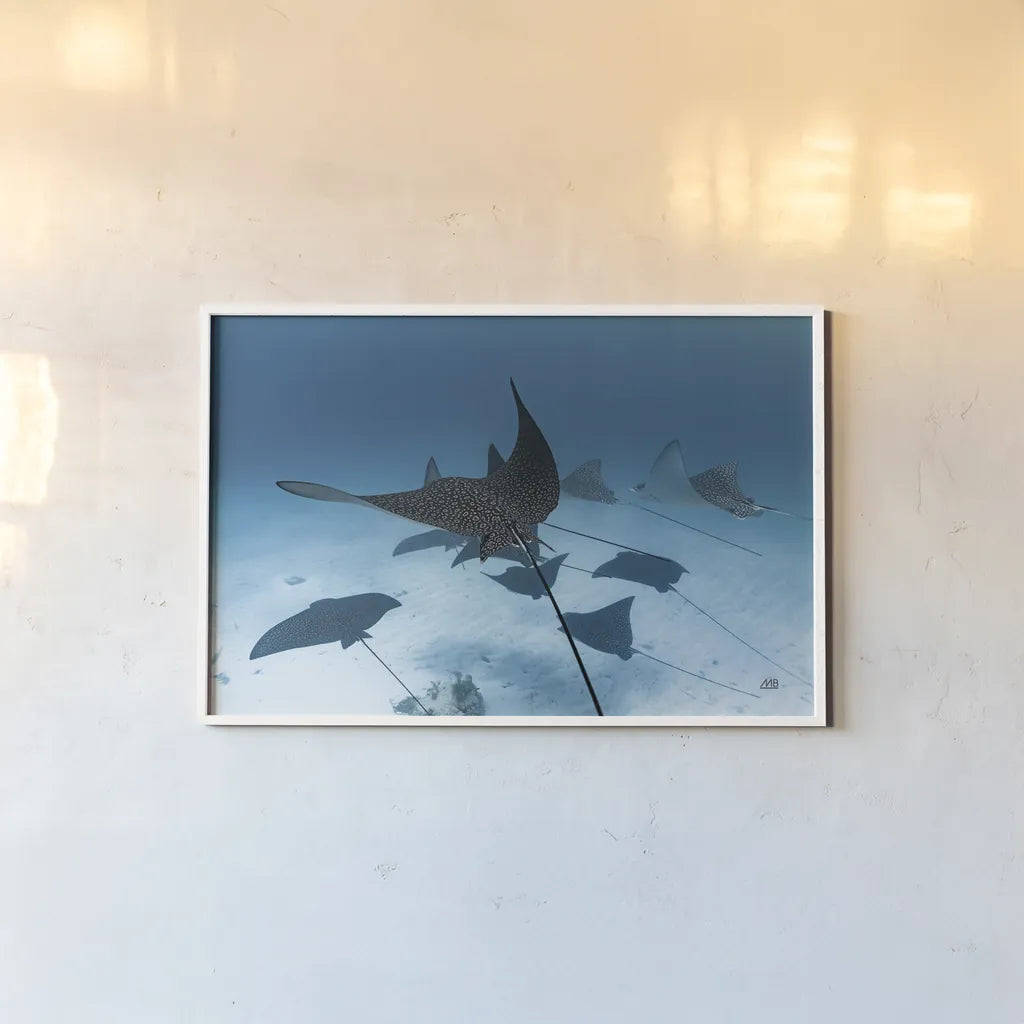 Ray Day II by Max Blakesberg Studios. shown as a paper print in a white frame. Available as a archival giclee rolled canvas, fine art paper, or poster print. SKU 92616i.