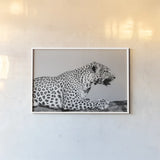 Regal Leopard by Max Blakesberg Studios. shown as a paper print in a white frame. Available as a archival giclee rolled canvas, fine art paper, or poster print. SKU 93611i.