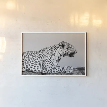 Regal Leopard by Max Blakesberg Studios. shown as a paper print in a white frame. Available as a archival giclee rolled canvas, fine art paper, or poster print. SKU 93611i.
