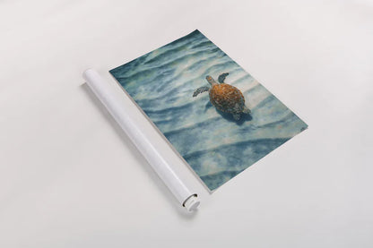 Sandbar Sea Turtle I by Max Blakesberg Studios. shown as a rolled paper print. Available as archival giclee rolled canvas, fine art paper, or poster print. SKU 91388h.