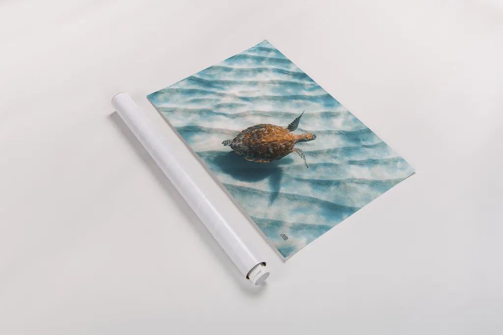 Sandbar Sea Turtle II by Max Blakesberg Studios. shown as a rolled paper print. Available as archival giclee rolled canvas, fine art paper, or poster print. SKU 91389i.