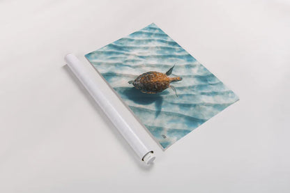 Sandbar Sea Turtle II by Max Blakesberg Studios. shown as a rolled paper print. Available as archival giclee rolled canvas, fine art paper, or poster print. SKU 91389i.