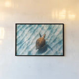 Sandbar Sea Turtle II by Max Blakesberg Studios. shown as a paper print in a black flame. Available as a archival giclee rolled canvas, fine art paper, or poster print. SKU 91389i.