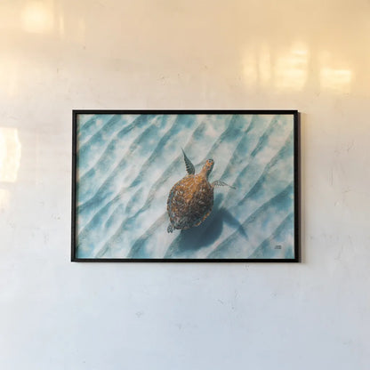 Sandbar Sea Turtle II by Max Blakesberg Studios. shown as a paper print in a black flame. Available as a archival giclee rolled canvas, fine art paper, or poster print. SKU 91389i.