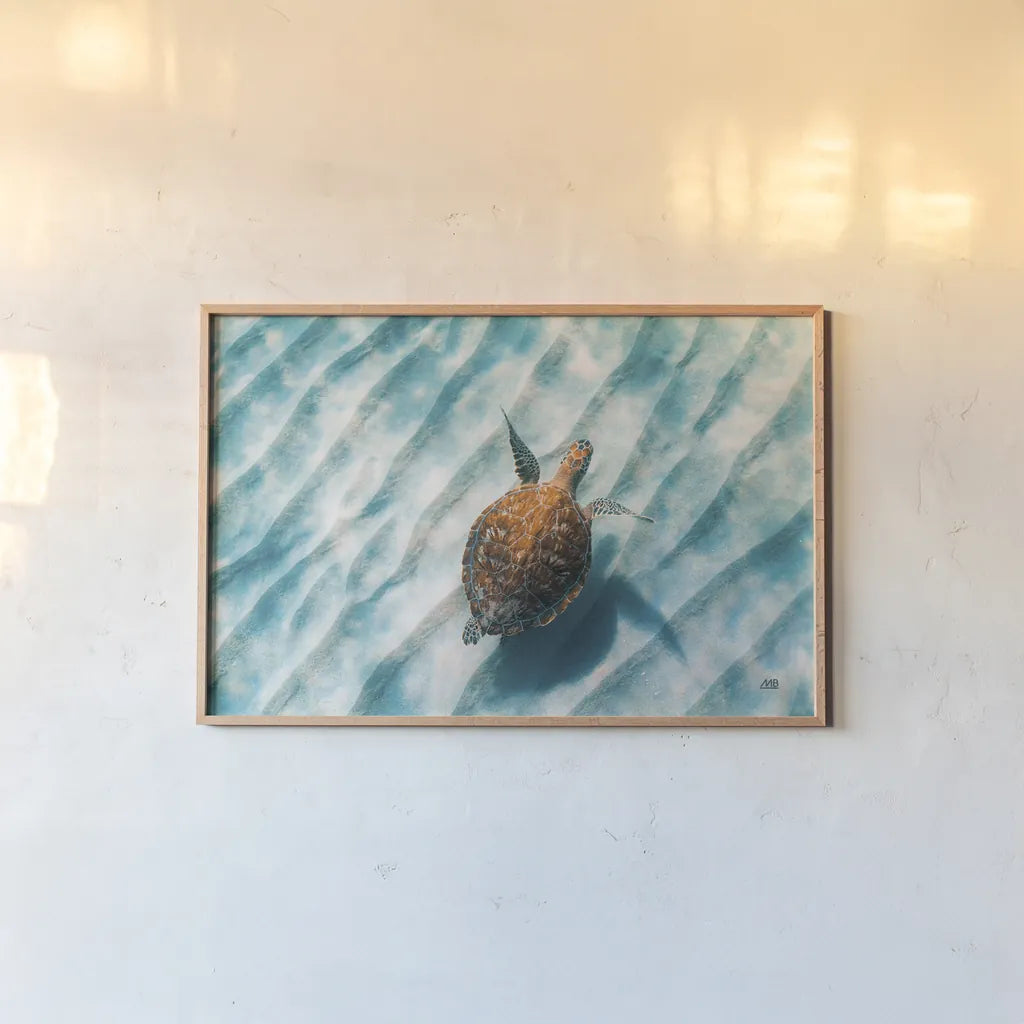 Sandbar Sea Turtle II by Max Blakesberg Studios. shown as a paper print in a natural frame. Available as a archival giclee rolled canvas, fine art paper, or poster print. SKU 91389i.