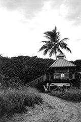 Sea Breeze I by Max Blakesberg Studios. SKU 103356h. Archival Giclee Fine art print for wall decor.