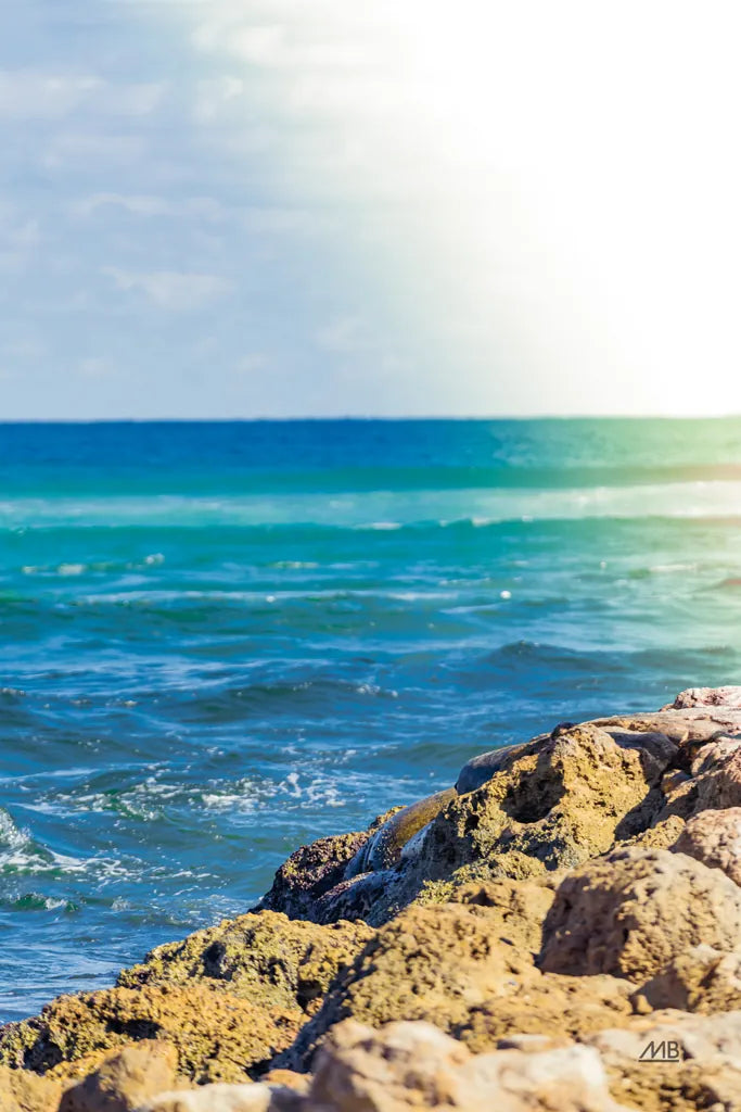 Serene Sea by Max Blakesberg Studios. SKU 93622h. Archival Giclee Fine art print for wall decor.