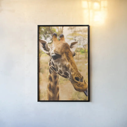 Silly Giraffe I by Max Blakesberg Studios. shown as a paper print in a black flame. Available as a archival giclee rolled canvas, fine art paper, or poster print. SKU 94177h.