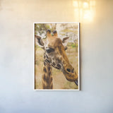 Silly Giraffe I by Max Blakesberg Studios. shown as a paper print in a white frame. Available as a archival giclee rolled canvas, fine art paper, or poster print. SKU 94177h.