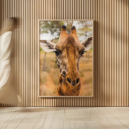 Silly Giraffe II by Max Blakesberg Studios. shown as over sized large wall art. Available as an archival giclee rolled canvas, fine art paper, or poster print. SKU 94178h.