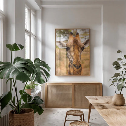 Silly Giraffe II by Max Blakesberg Studios. shown as a print in a natural wood frame in a dining room. Available as a archival giclee rolled canvas, fine art paper, or poster print. SKU 94178h.