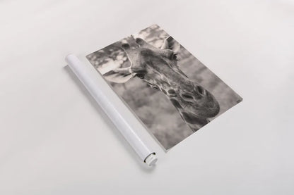 Silly Giraffe Neutral I by Max Blakesberg Studios. shown as a rolled paper print. Available as archival giclee rolled canvas, fine art paper, or poster print. SKU 94179h.