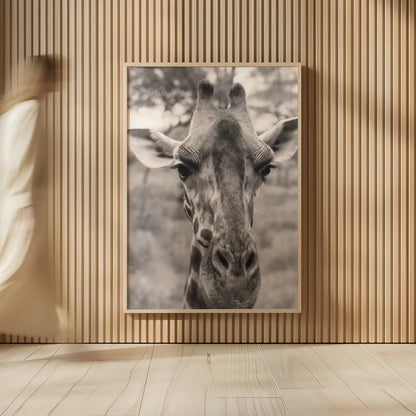 Silly Giraffe Neutral I by Max Blakesberg Studios. shown as over sized large wall art. Available as an archival giclee rolled canvas, fine art paper, or poster print. SKU 94179h.