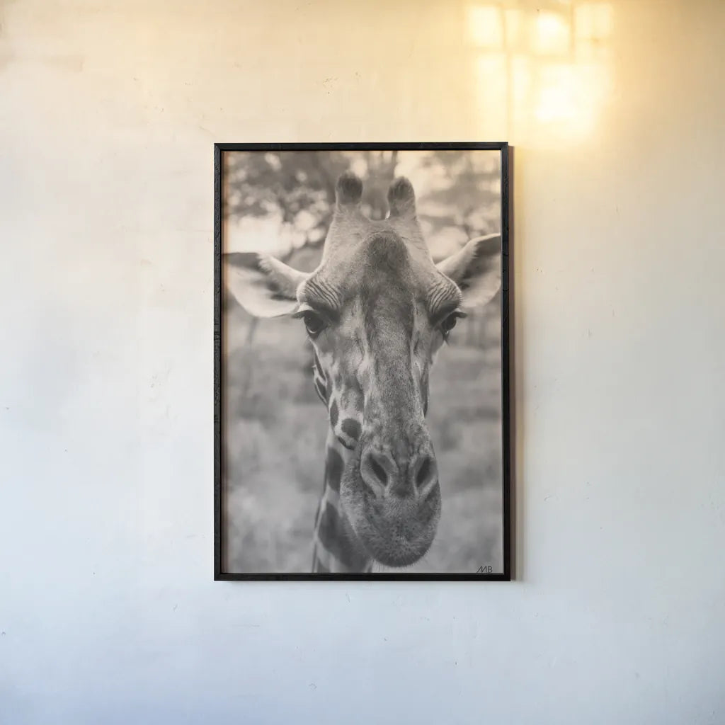Silly Giraffe Neutral I by Max Blakesberg Studios. shown as a paper print in a black flame. Available as a archival giclee rolled canvas, fine art paper, or poster print. SKU 94179h.