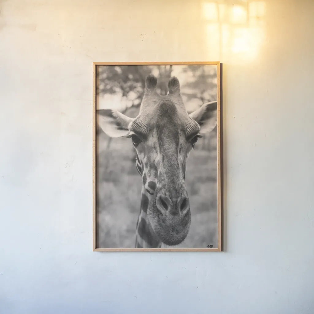 Silly Giraffe Neutral I by Max Blakesberg Studios. shown as a paper print in a natural frame. Available as a archival giclee rolled canvas, fine art paper, or poster print. SKU 94179h.