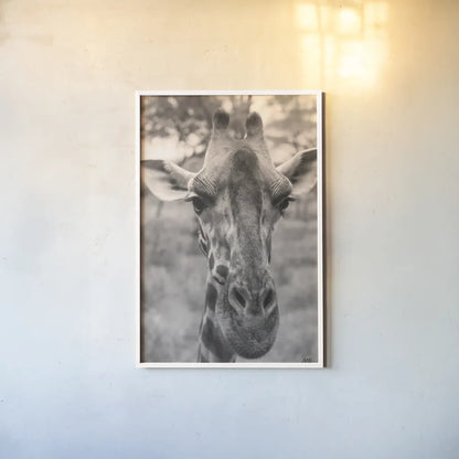 Silly Giraffe Neutral I by Max Blakesberg Studios. shown as a paper print in a white frame. Available as a archival giclee rolled canvas, fine art paper, or poster print. SKU 94179h.