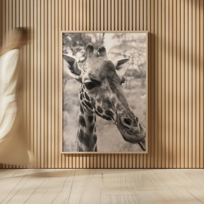 Silly Giraffe Neutral II by Max Blakesberg Studios. shown as over sized large wall art. Available as an archival giclee rolled canvas, fine art paper, or poster print. SKU 94180h.