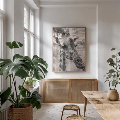 Silly Giraffe Neutral II by Max Blakesberg Studios. shown as a print in a natural wood frame in a dining room. Available as a archival giclee rolled canvas, fine art paper, or poster print. SKU 94180h.