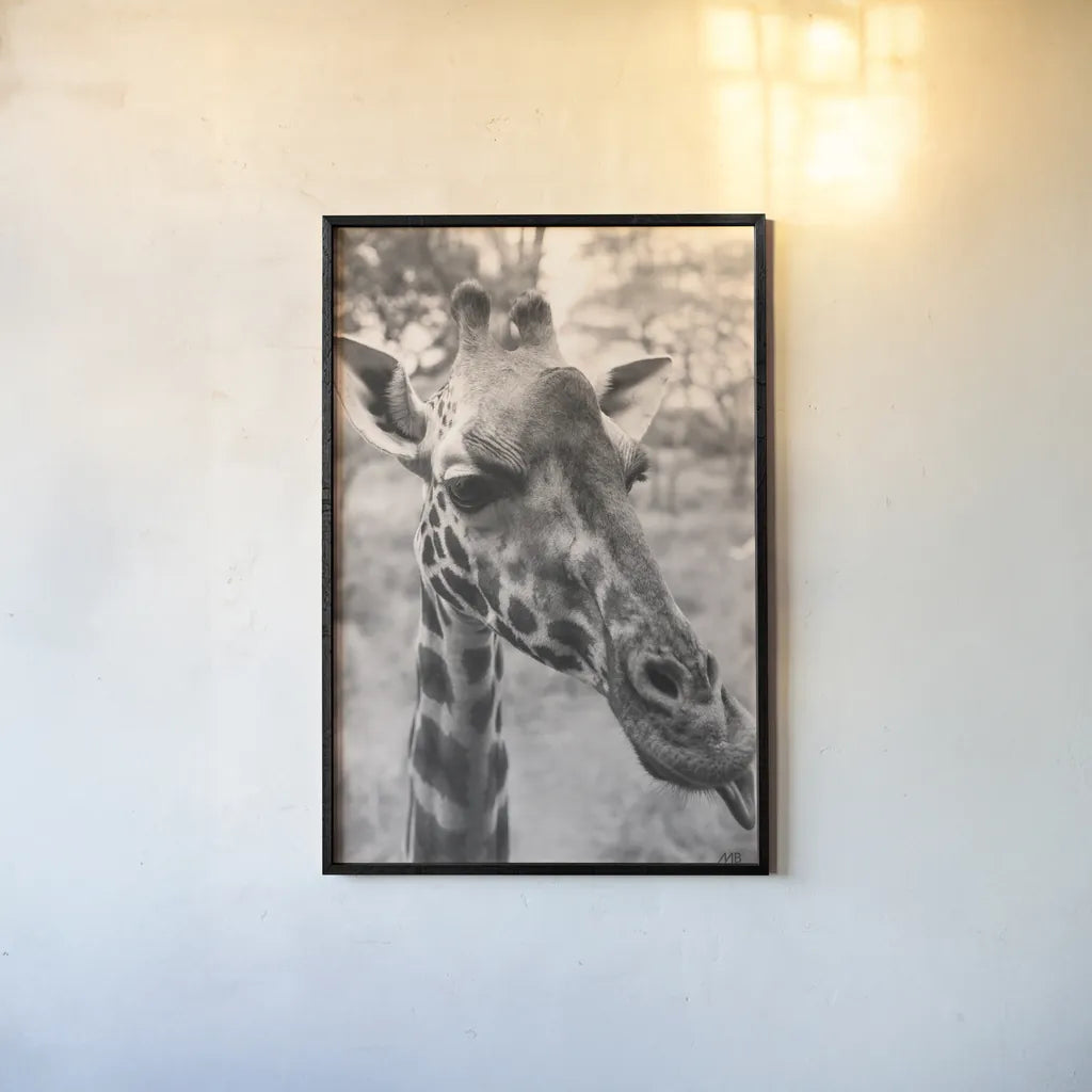 Silly Giraffe Neutral II by Max Blakesberg Studios. shown as a paper print in a black flame. Available as a archival giclee rolled canvas, fine art paper, or poster print. SKU 94180h.