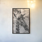 Silly Giraffe Neutral II by Max Blakesberg Studios. shown as a paper print in a black flame. Available as a archival giclee rolled canvas, fine art paper, or poster print. SKU 94180h.