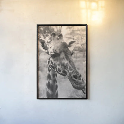 Silly Giraffe Neutral II by Max Blakesberg Studios. shown as a paper print in a black flame. Available as a archival giclee rolled canvas, fine art paper, or poster print. SKU 94180h.