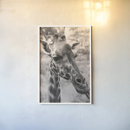 Silly Giraffe Neutral II by Max Blakesberg Studios. shown as a paper print in a white frame. Available as a archival giclee rolled canvas, fine art paper, or poster print. SKU 94180h.