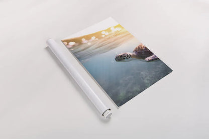 Sunny Swim by Max Blakesberg Studios. shown as a rolled paper print. Available as archival giclee rolled canvas, fine art paper, or poster print. SKU 92684h.