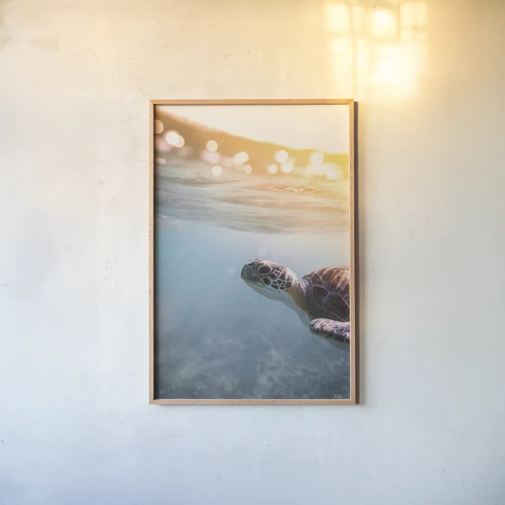 Sunny Swim by Max Blakesberg Studios. shown as a paper print in a natural frame. Available as a archival giclee rolled canvas, fine art paper, or poster print. SKU 92684h.