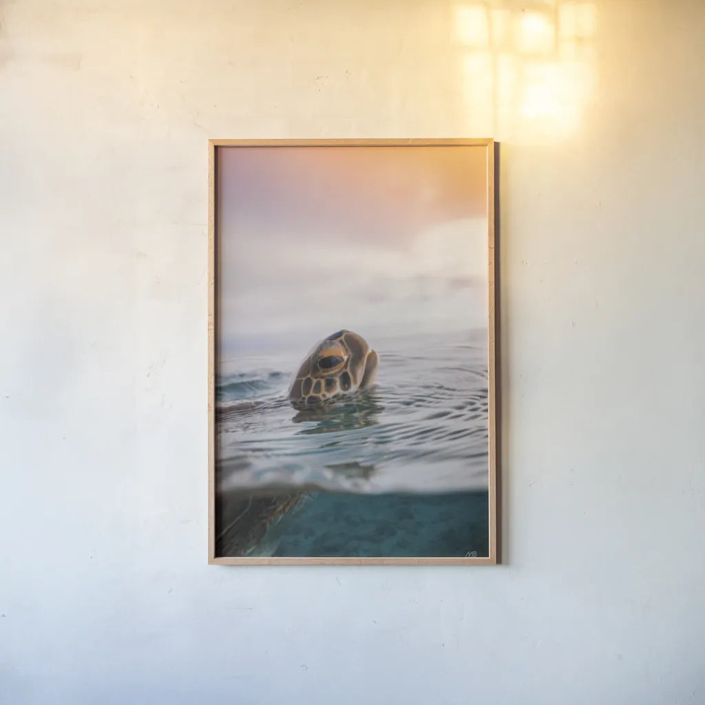 Sunrise Swim by Max Blakesberg Studios. shown as a paper print in a natural frame. Available as a archival giclee rolled canvas, fine art paper, or poster print. SKU 91647h.
