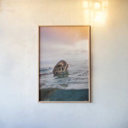Sunrise Swim by Max Blakesberg Studios. shown as a paper print in a natural frame. Available as a archival giclee rolled canvas, fine art paper, or poster print. SKU 91647h.