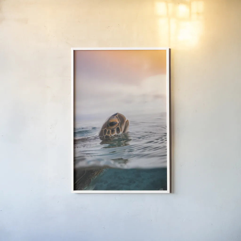 Sunrise Swim by Max Blakesberg Studios. shown as a paper print in a white frame. Available as a archival giclee rolled canvas, fine art paper, or poster print. SKU 91647h.