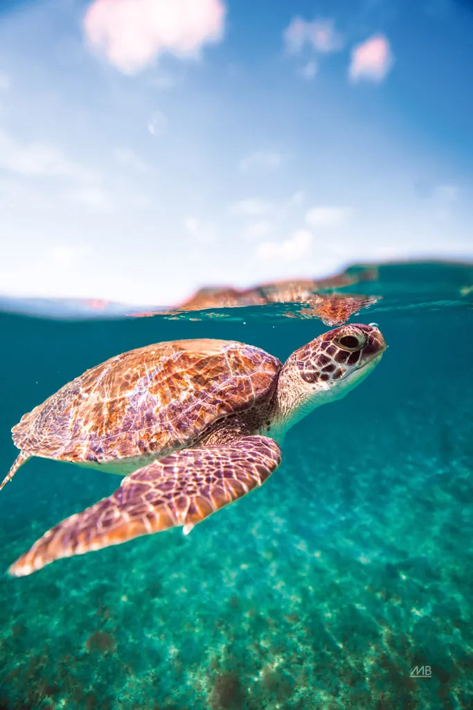 Surfacing by Max Blakesberg Studios. SKU 92685h. Archival Giclee Fine art print for wall decor.