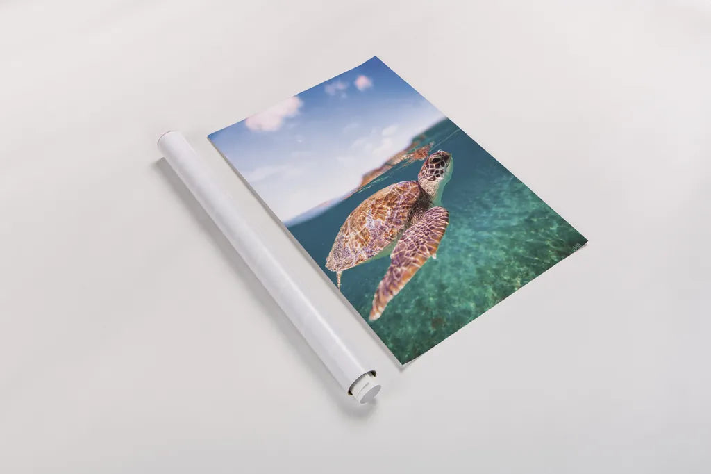 Surfacing by Max Blakesberg Studios. shown as a rolled paper print. Available as archival giclee rolled canvas, fine art paper, or poster print. SKU 92685h.