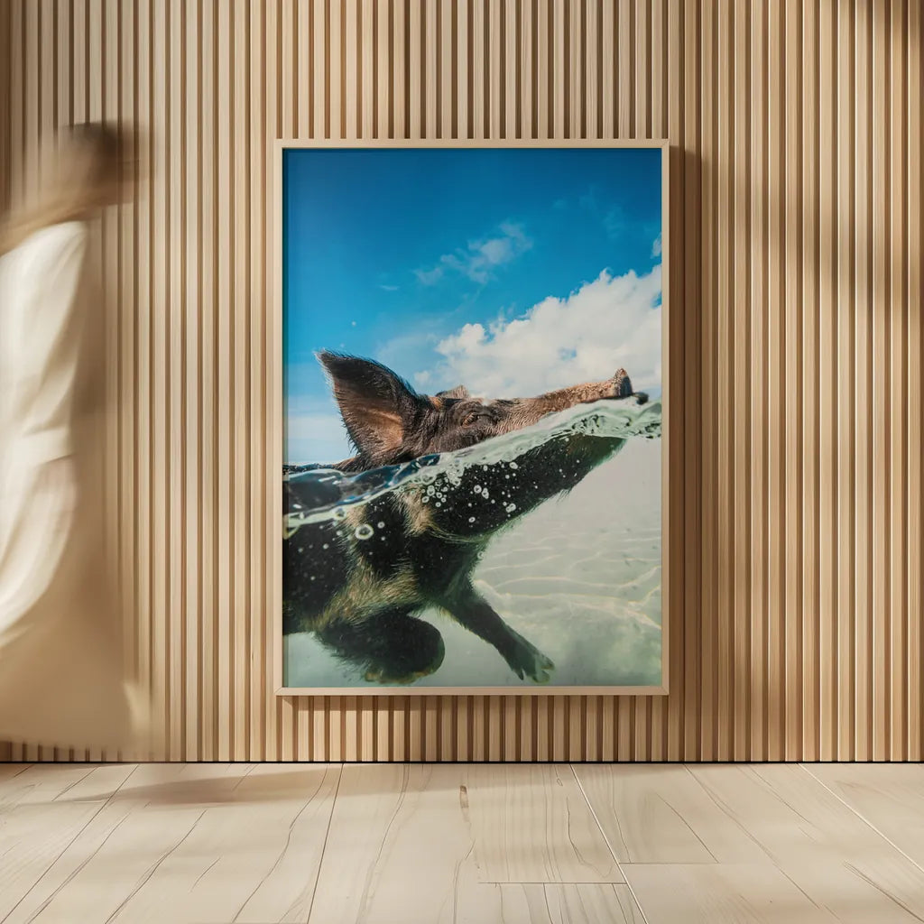Swimming Pig by Max Blakesberg Studios. shown as over sized large wall art. Available as an archival giclee rolled canvas, fine art paper, or poster print. SKU 92807h.