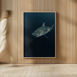 Tiger Shark by Max Blakesberg Studios. shown as over sized large wall art. Available as an archival giclee rolled canvas, fine art paper, or poster print. SKU 92695h.